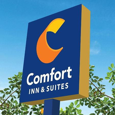 Comfort Inn & Suites Savannah Exterior photo